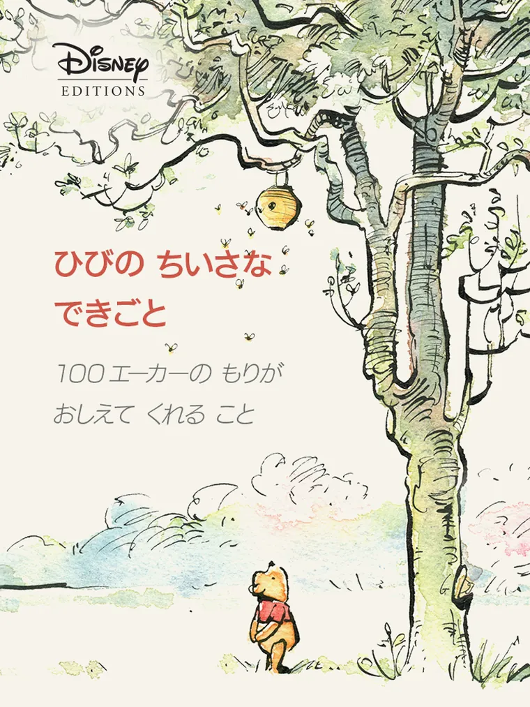 ひびの ちいさな できごと