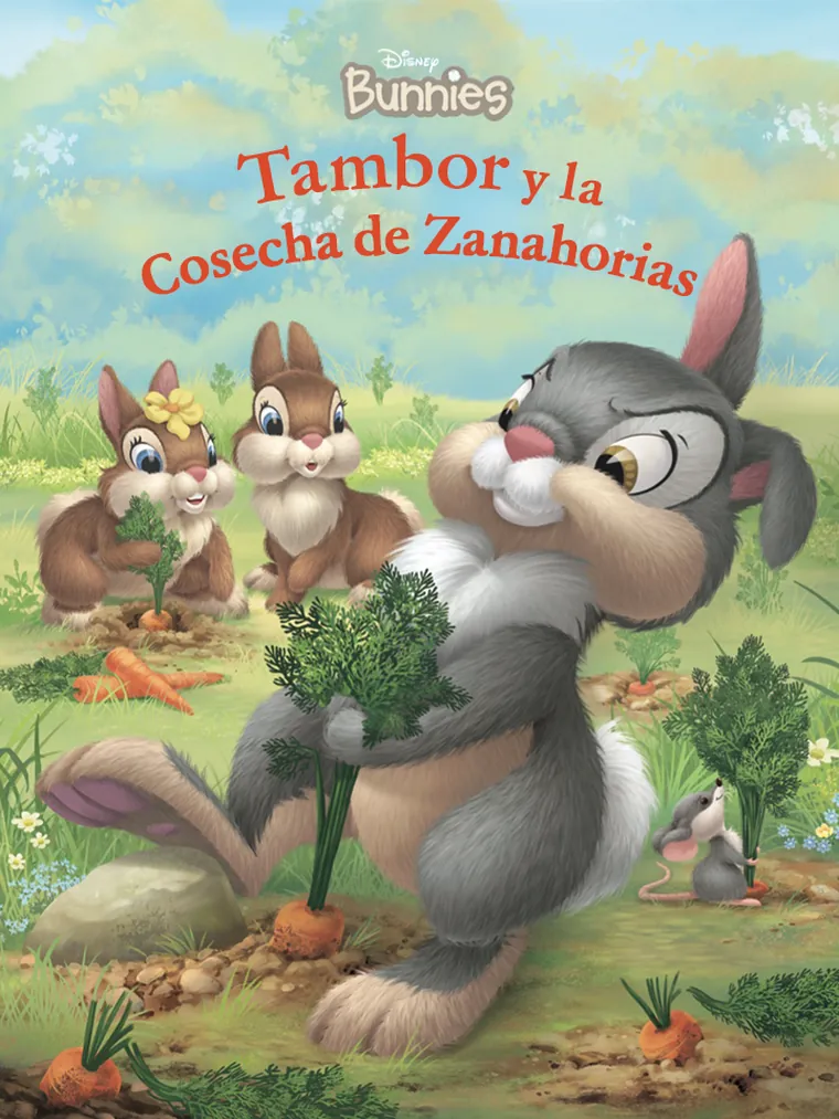 Tambor y la cosecha de zanahoria